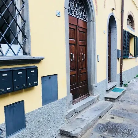 Mimosa * Scansano