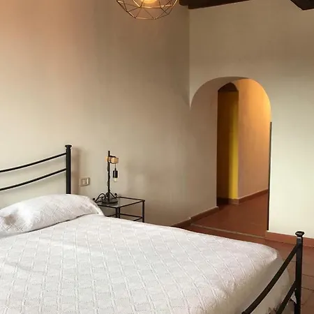 Mimosa